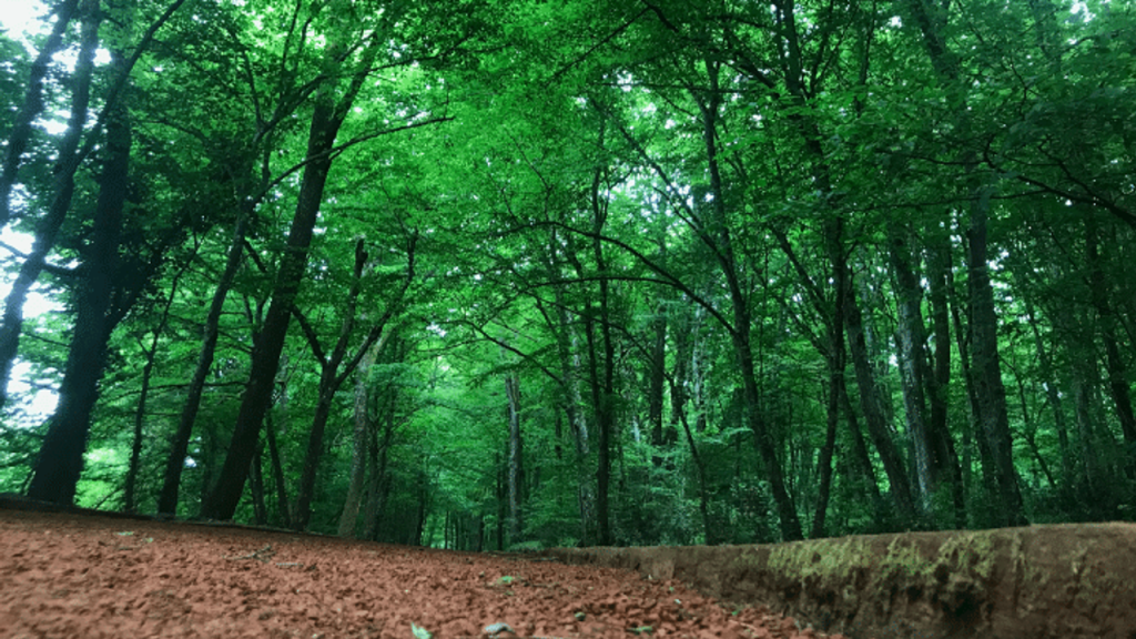 OGM’ye 496 personel alımı için başvuru süreci başladı