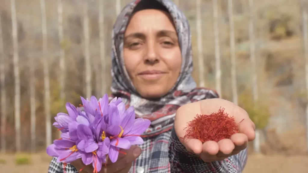 Safran Yetiştiriciliğiyle Hayatını Değiştiren Kadın