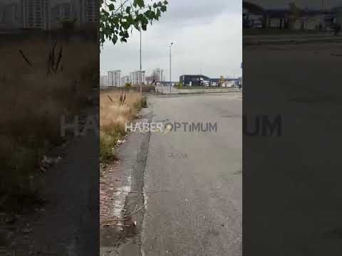 Şeyh Şamil Mahallesi’nde gece gürültüsü ve çevre kirliliği artıyor