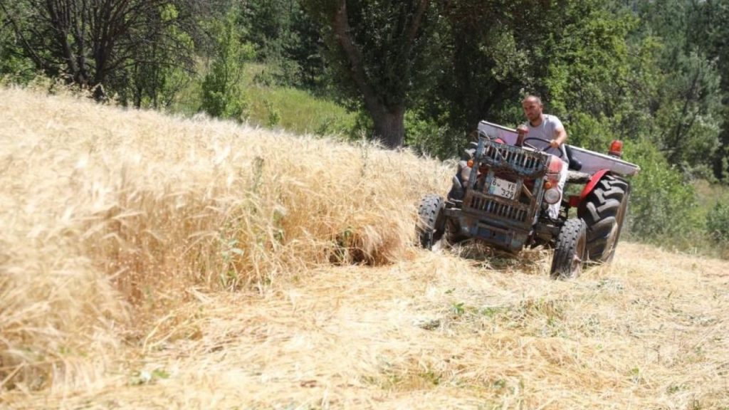 Sivas’ta Kırsal Nüfus 2024’te 149 Bindere Düştü