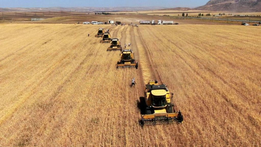 Sivas’ta Tarım ve Orman Varlığı Yüzde 18’e Ulaştı