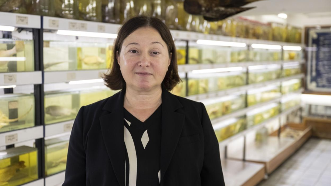 “Aşırı avcılık ve kirlilik türleri yok ediyor”