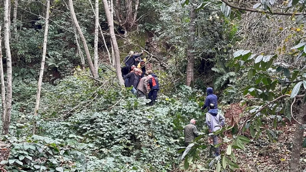 Aktaş Köyünde Ağaca Çarpan İşçiye Sağlık Müdahalesi
