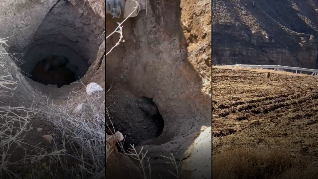 Divriği’de kayıp yabani domuz kuyuya düştü, ekipler müdahale etti