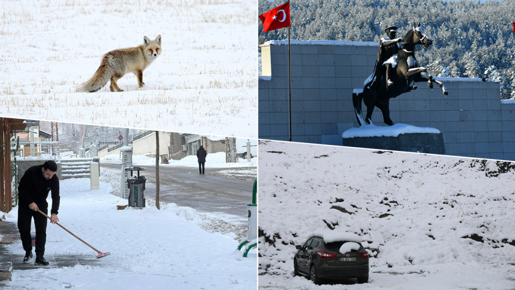 Doğu ve Güneydoğu Bölgelerinde Kar ve Sis Etkili