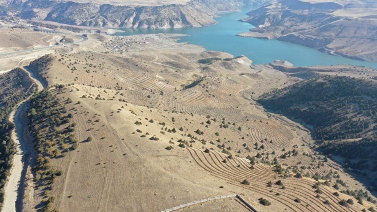 Ormanlarımızda Büyük İklim ve Ekosistem Çalışmaları