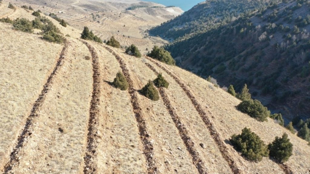 Erzurum ve Bölge İllerinde 1 Milyon Fidan ve Milyonlarca Tohum Dikildi