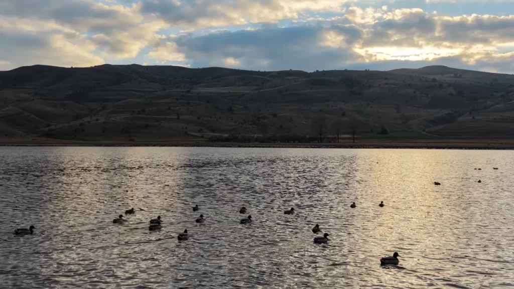 İklim Değişikliği Bingöl Gölü’ne Can Suyu Oldu