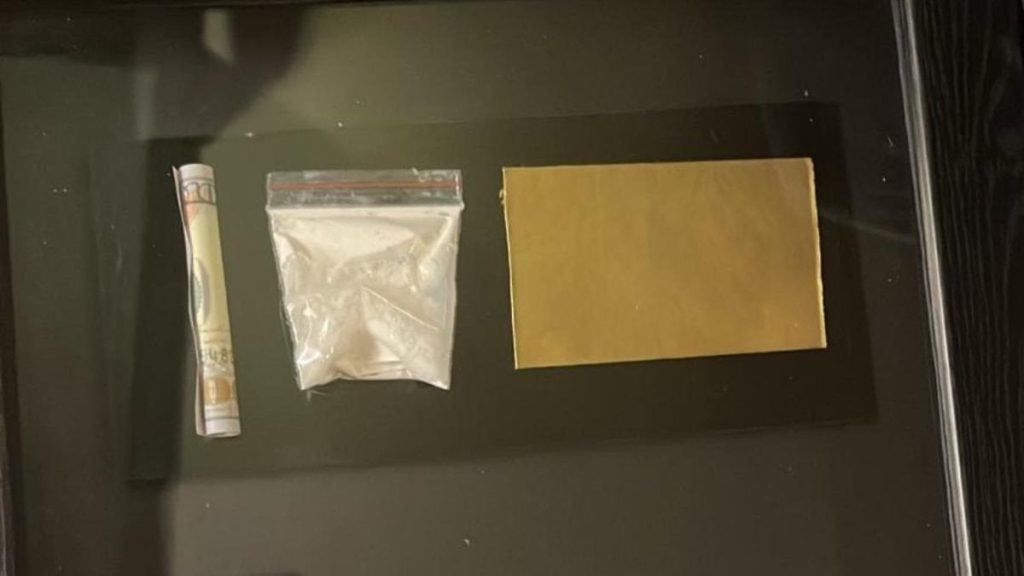 İstanbul’da Uyuşturucu Operasyonunda 20 Şüpheli Gözaltına Alındı