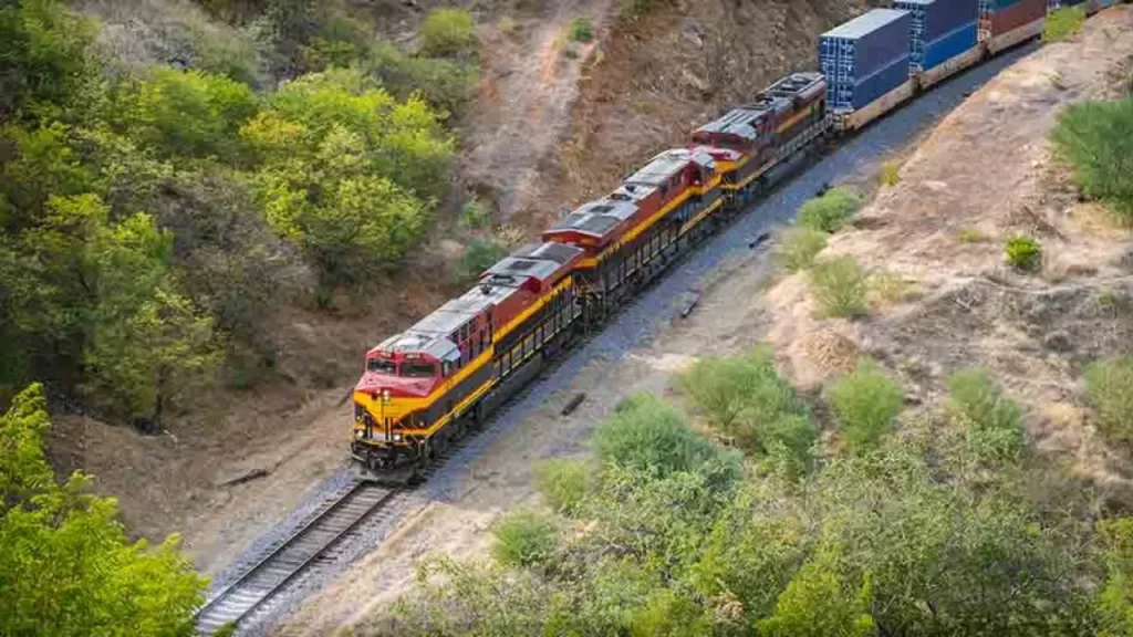 Oaxaca’da Tren Kazası: 13 Ölü, 98 Yaralı