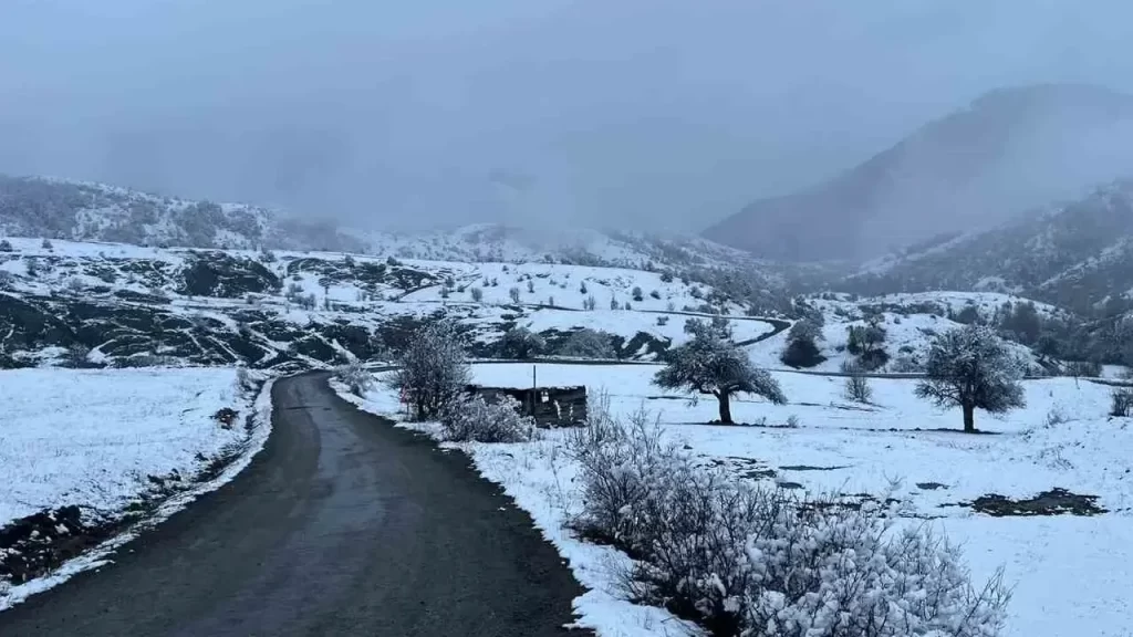 Sivas Koyulhisar’da yüksek bölgelerde kar yağışı etkili oldu