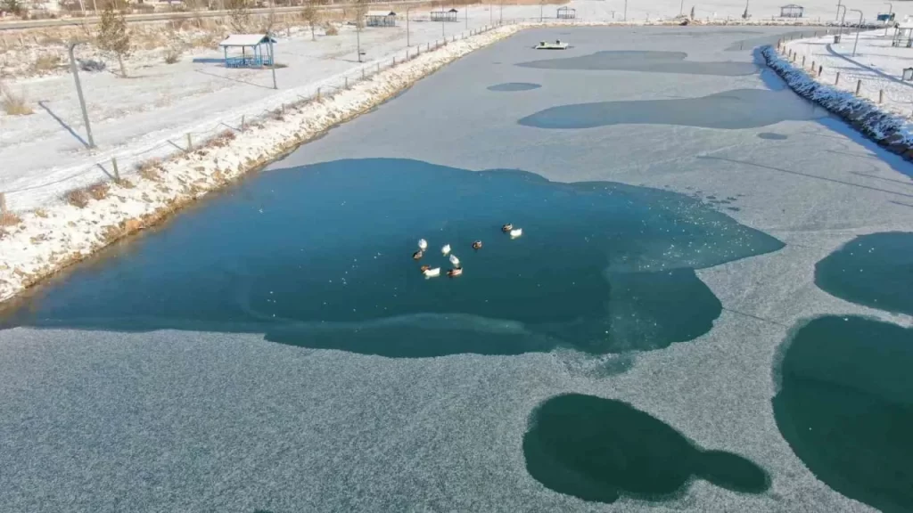 Sivas’ta Dondurucu Hava ve Buzla Kaplanan Gölet Manzaraları