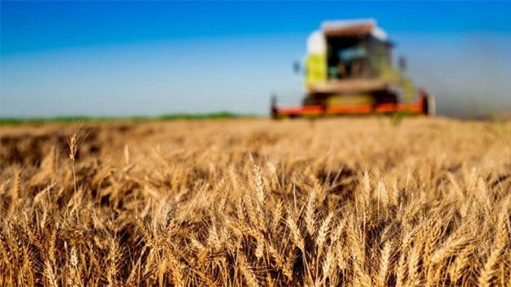 Tarım ve Hayvancılık Destekleri Kapsamında Başvuru Süreci Uzatıldı