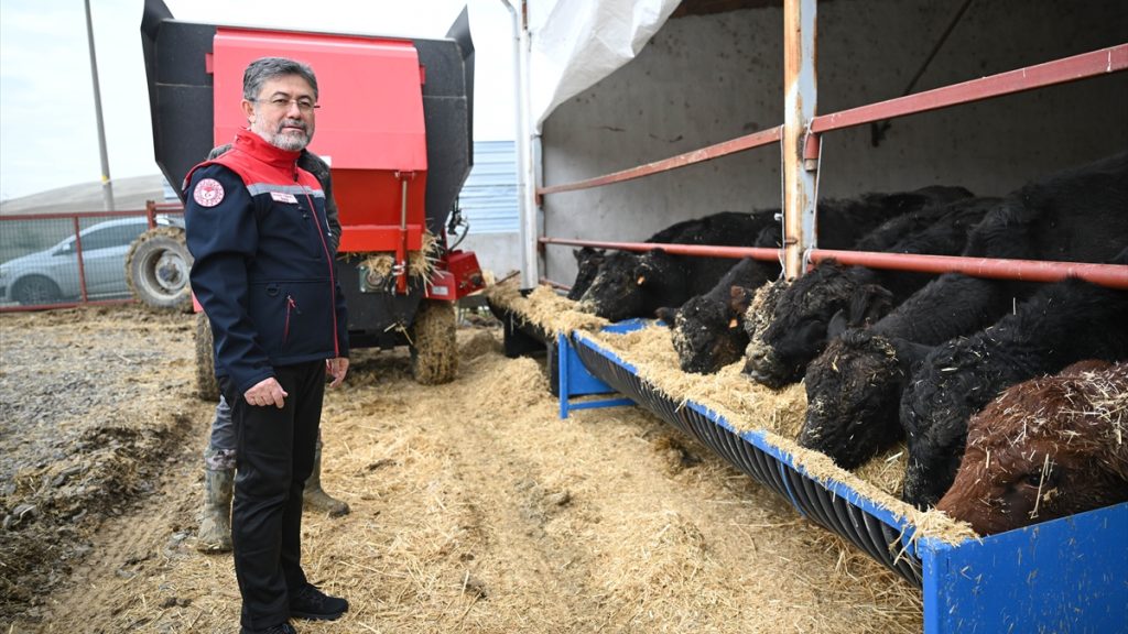 Türkiye hayvancılık destekleri ve sektörün önü açılsın çağrısı