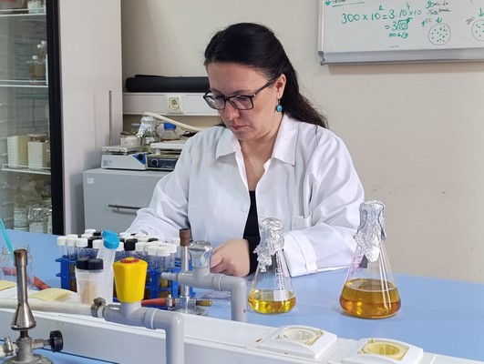 Geniş Kullanım Alanları ve Gelecek Vizyonu