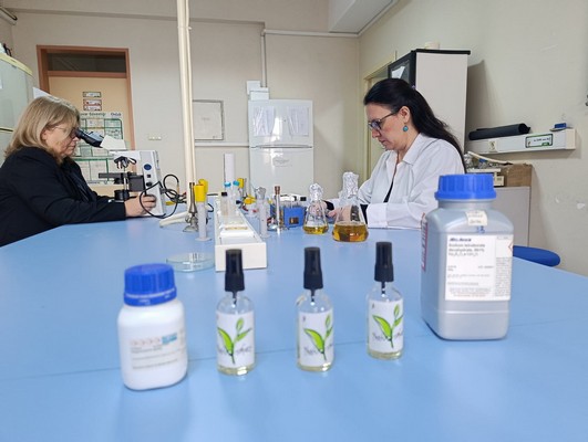 Geniş Kullanım Alanları ve Gelecek Vizyonu