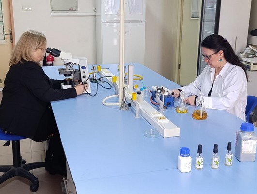 Geniş Kullanım Alanları ve Gelecek Vizyonu