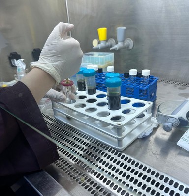 Geniş Kullanım Alanları ve Gelecek Vizyonu