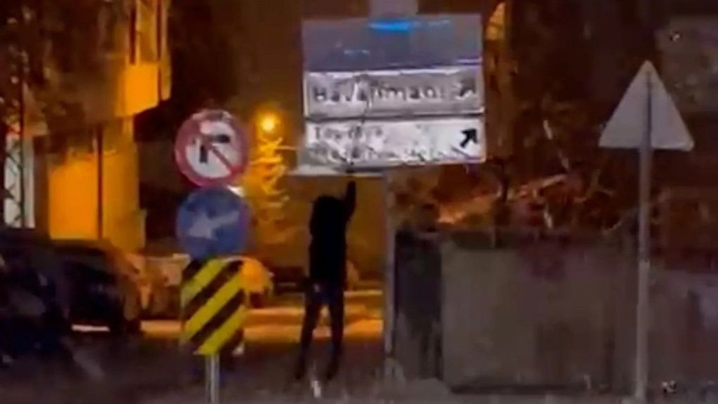 Kar Yağışı Sonrası Öğrenciden Örnek Trafik Güvenliği Hareketi