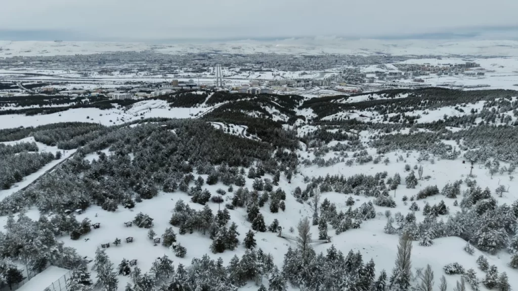 Kardeşler Ormanı: Sivas’ın doğa ve eğitim noktası