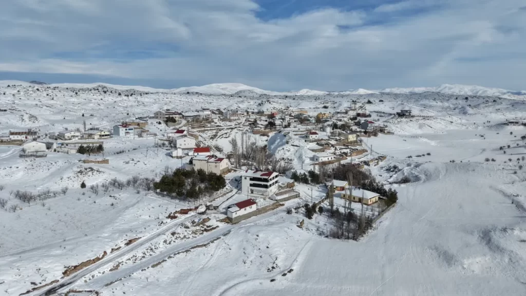 Kılıçköy’de Yaban Hayvanları Güvenlik Kameralarına Yansıdı