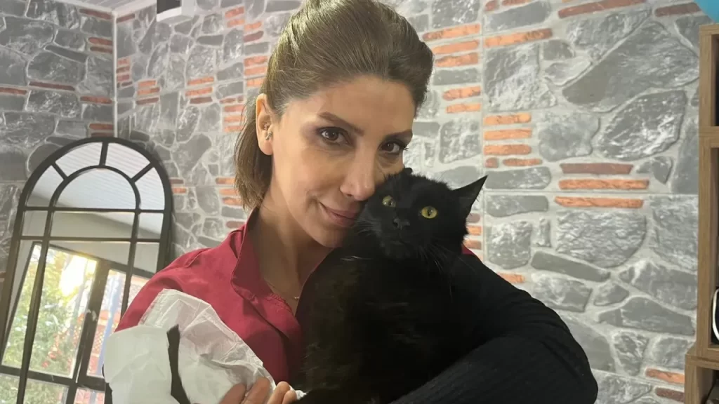 Kocaeli’nde Bulut adlı kedi fizik tedaviye alındı