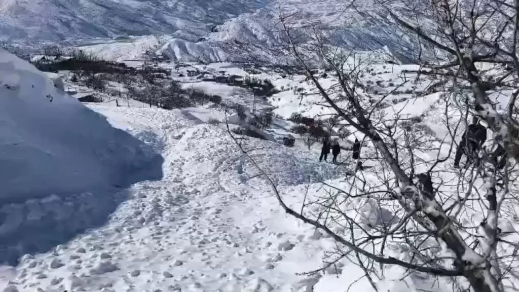 Sason’da Çığ Düsmesi: 44 Küçükbaş Hayvan Hayatını Kaybetti