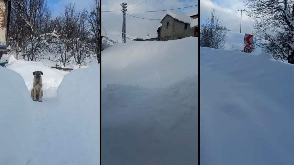 Sivas’ta kar yağışı etkisini sürdürüyor, köylerde kara teslimiyet