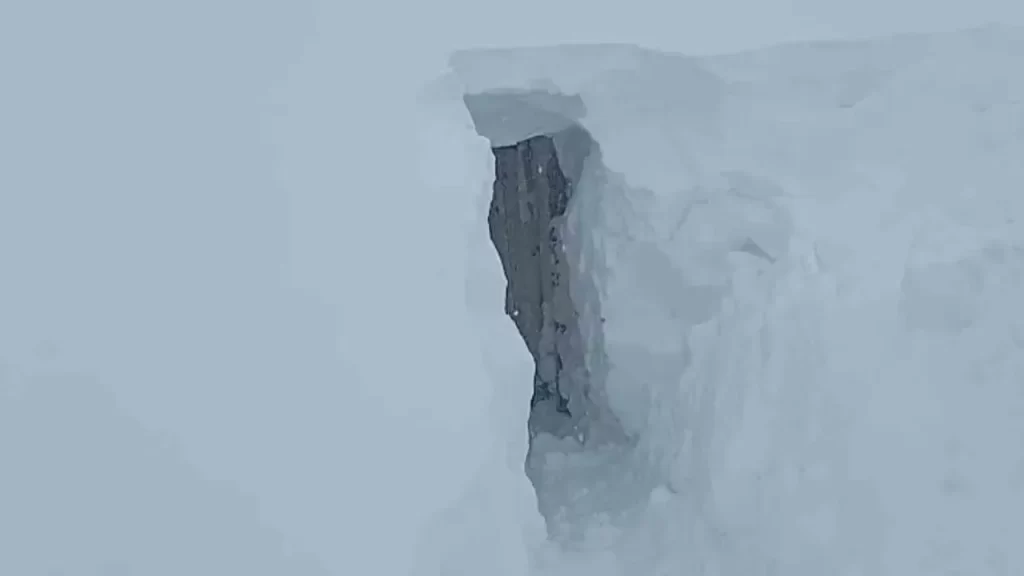 Sivas’taki kar yağışı hayvan sahiplerini zora soktu