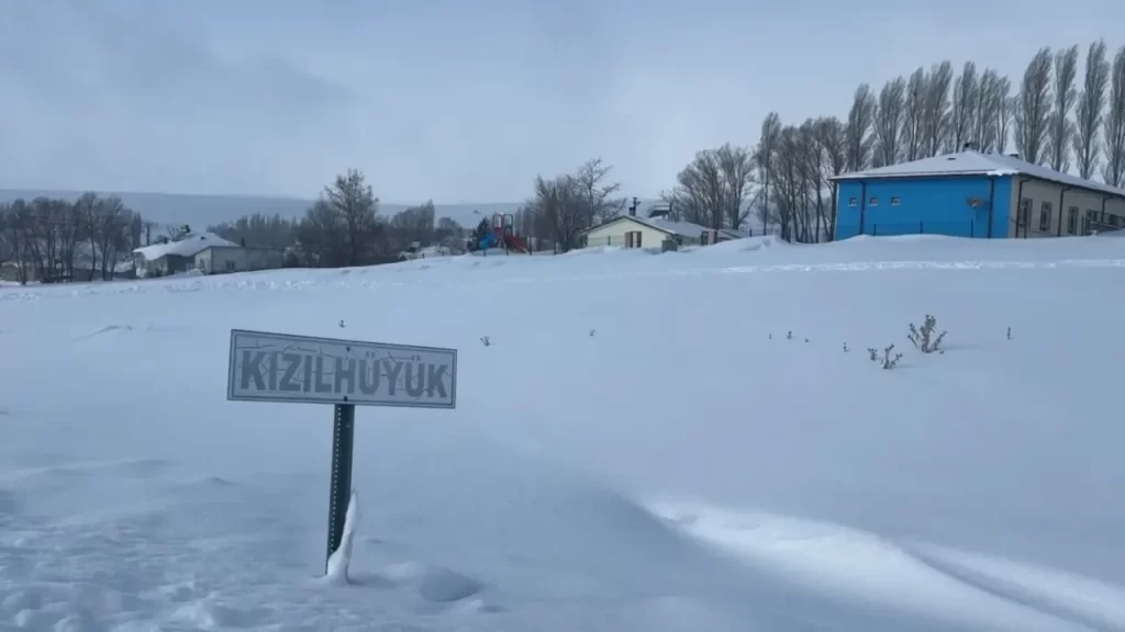 Sivas’taki kurt saldırıları köyde paniğe neden oldu