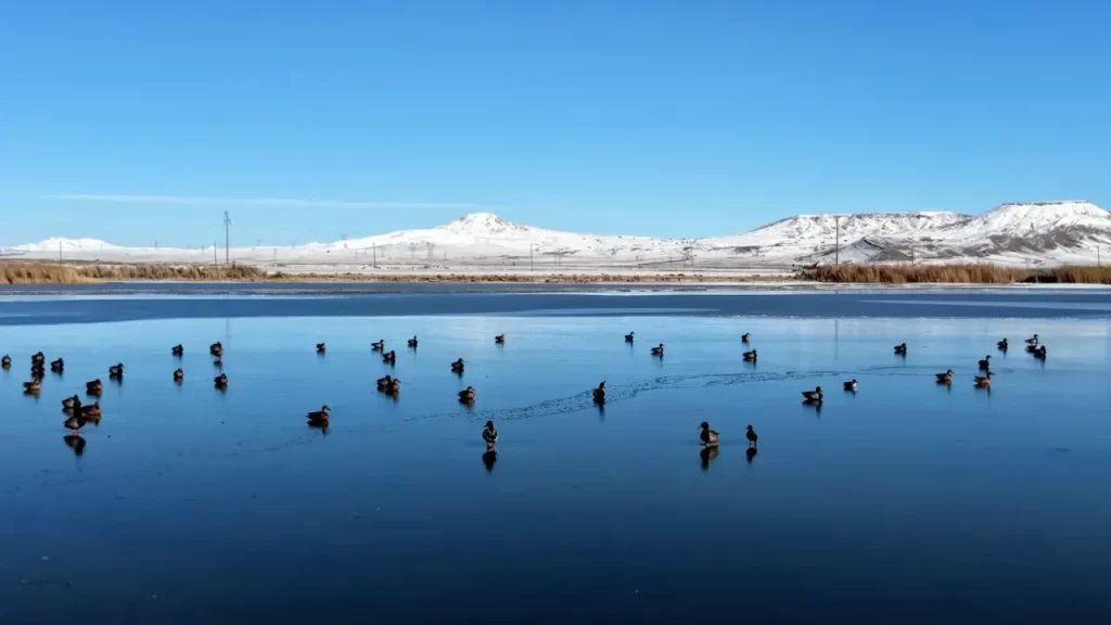 Ulaş Gölü, Su Seviyesi ve Kuş Çeşitliliğiyle Dikkat Çekiyor