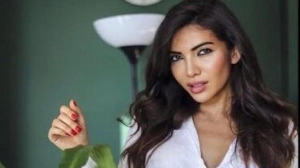 Yolsuzluk Şebekesi Operasyonu: Tutuklamalar ve Detaylar