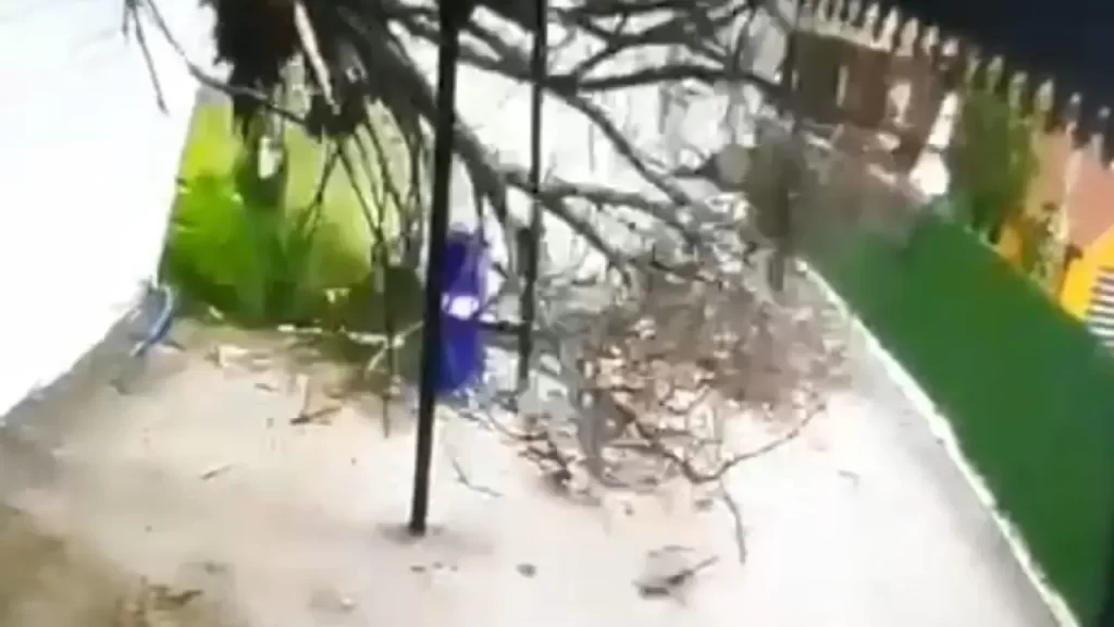 Ağaç devrildi: Devrilen ağaç olayında vatandaş saniye farkıyla kurtuldu