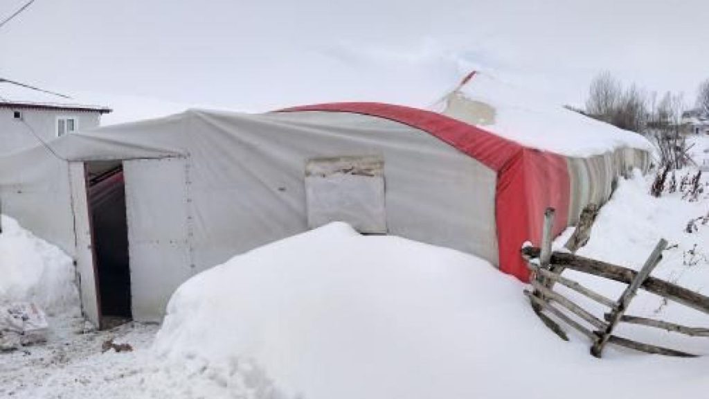 Bahçeliyurt’ta kar çatısı tehlikeyi atlatırken 100 küçükbaş savruldu