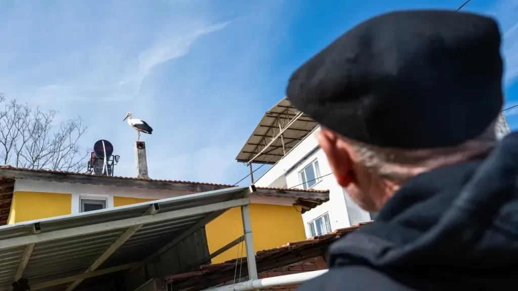 Eskikaraağaç Leylek Köyü: Yaren ve Adem Amca’nın Sürpriz Görüntüsü