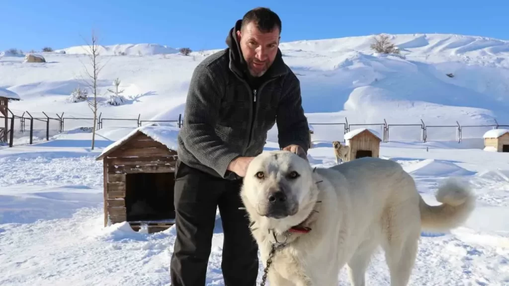 Gürün Çengeli: Dağ köşelerinin koruyucu tasması