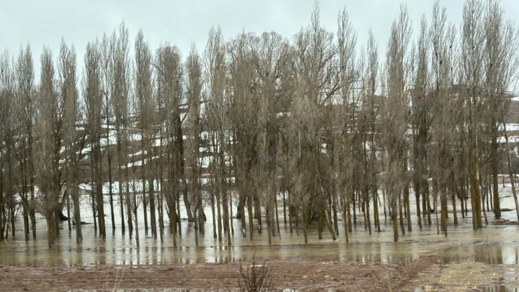 Kalın Çayı taşkını sonrası görülen geniş su birikintileri tarım alanlarını etkiliyor