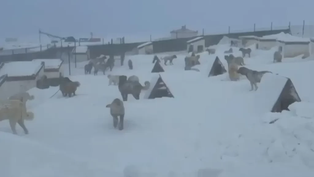 Karanlık kış şartlarında sürpriz engeller: Taşdelen’in zorlu yolu