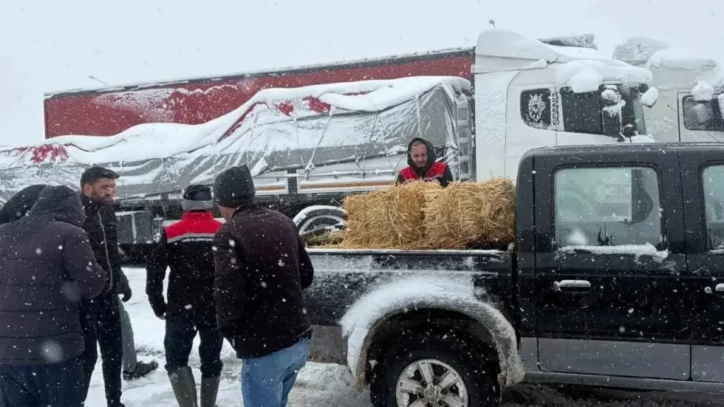 Karlı Dağlarda Ağır Yükler: Sevk Aksadı, Hayvanlar İçin Saman ve Yem Temin Ediliyor