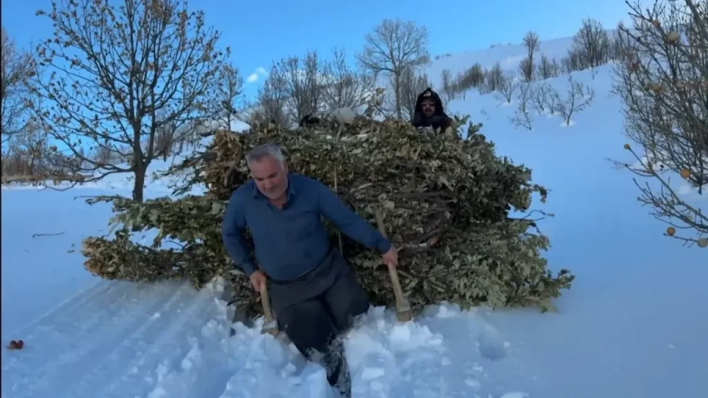 Köydeki kış dayanışması: İmeceyle ot ve yaprak depolama geleneği sürüyor