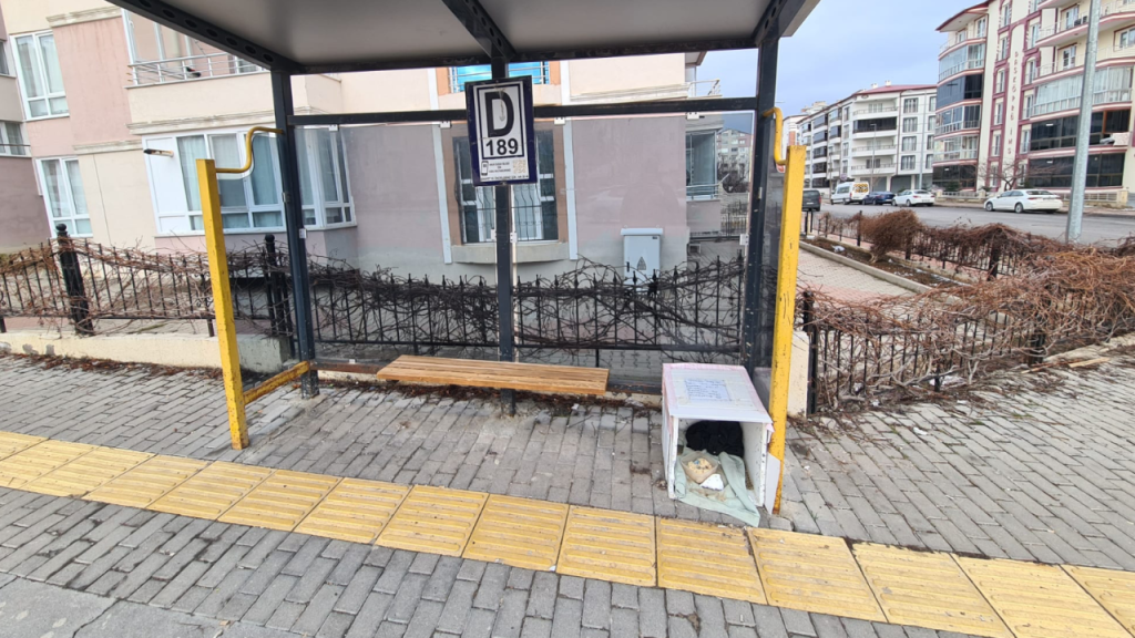 Kullanıcı Dostu Kedi Eviyle Otobüs Durağına Sıcacık Mesaj