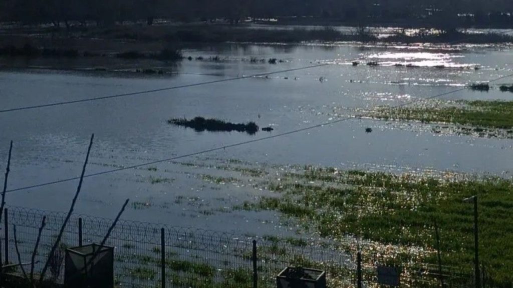 Manavgat’taki barajlardan su salınımı, şantiyeyi ve narenciye bahçelerini sular altında bıraktı