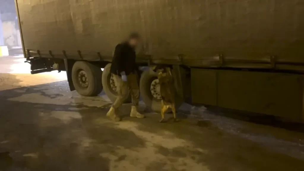 Narkotik köpeğiyle yapılan aramada 51 kilo esrar ele geçirildi