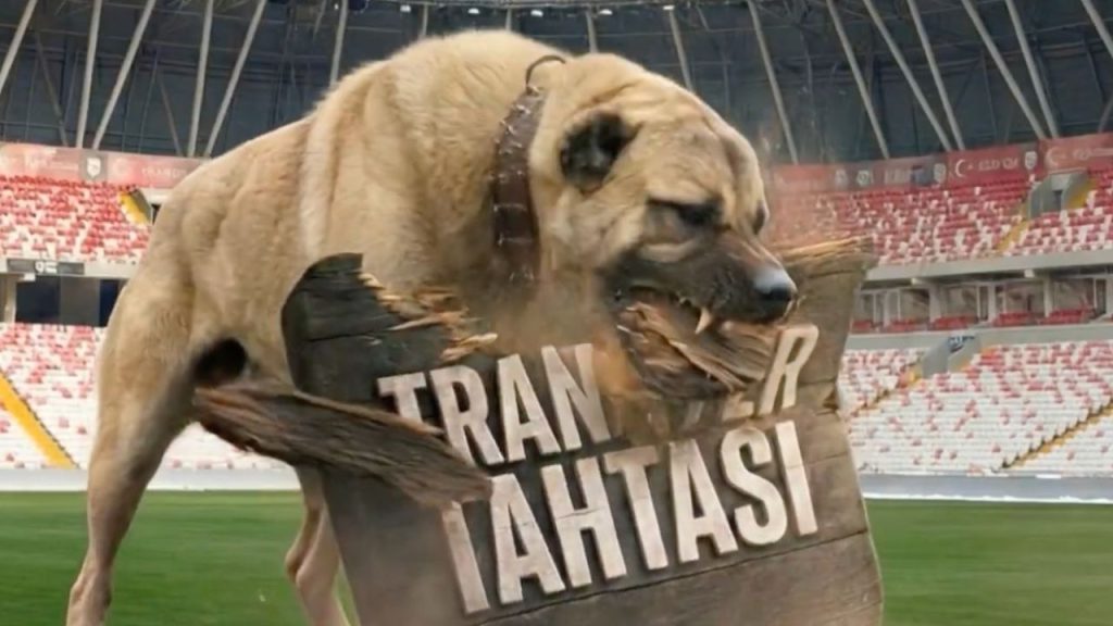 Sivasspor’dan transfer yasağı sona erdi; yeni dönem için çalışmalar başladı