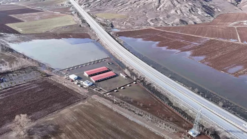 Sivas’ta aşırı yağışlar sonrası köydeki çiftlikte sular altında kalan 80 köpek