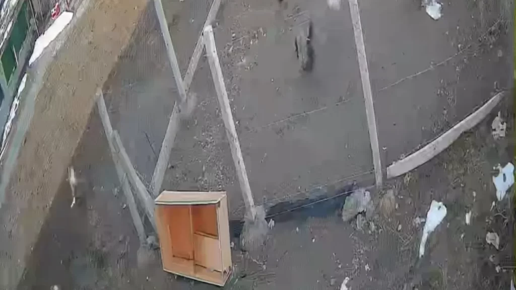 Tilkinin Kumesi Basına Sızdıran Anlık Görüntülerdeki Olay