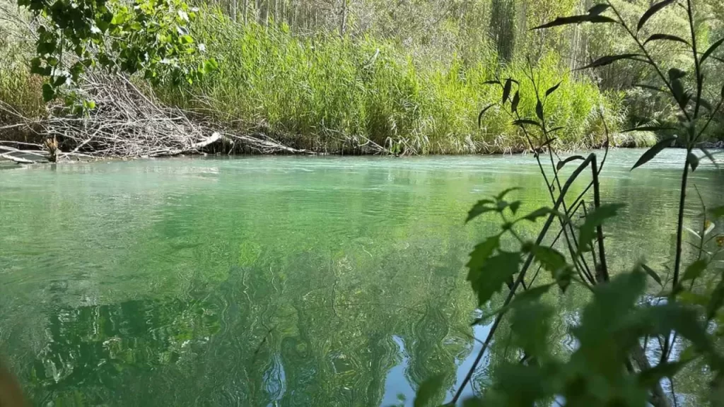 Tohma Çayı’nda ağır metal Bulguları ve Kaynaklar
