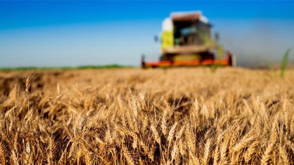 Çiftçilere 12,31 milyar liralık destek ödemesi hesaplarda