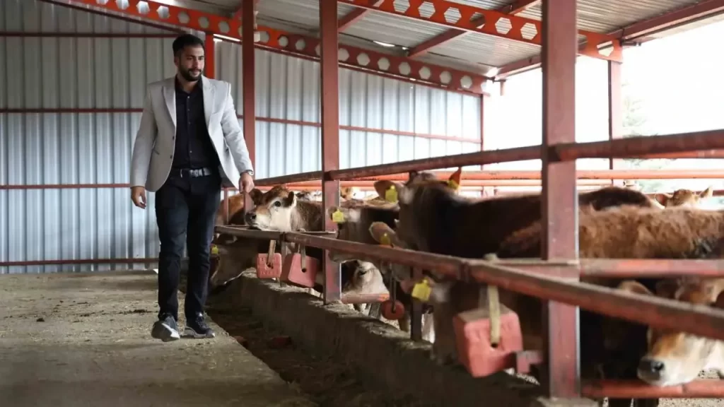 Çiftçilikten Zirveye: Jersey ırkıyla Sivas’ta yenilikçi tarım