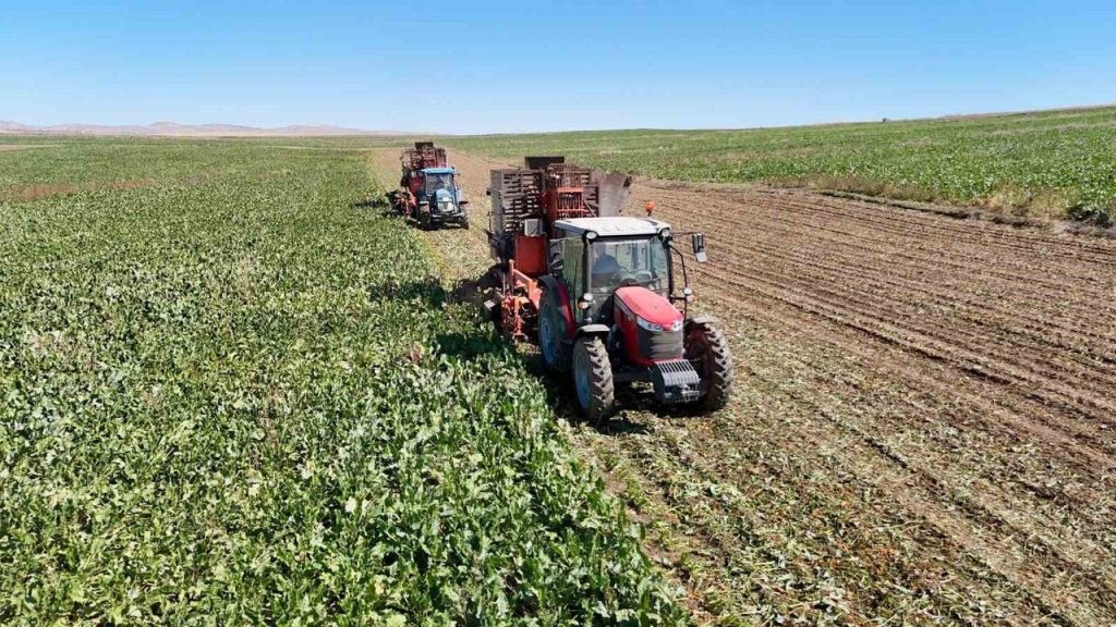 ÇKS başvuru değişiklikleri 15 Mart–15 Nisan arası yapılacak